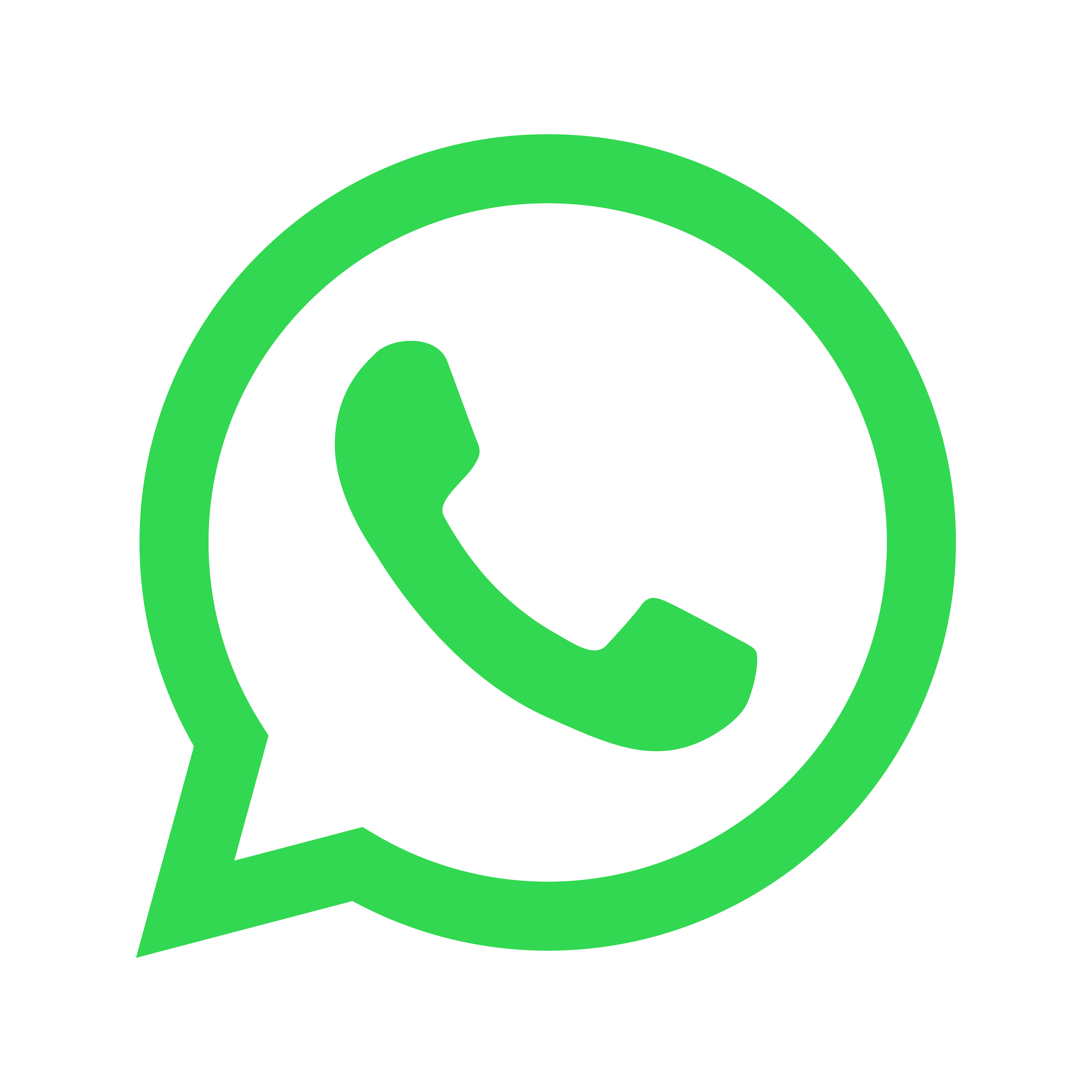 Logo ícone whatsApp